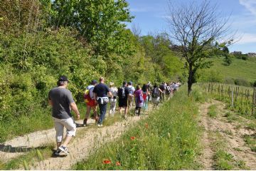 Camminata di primavera